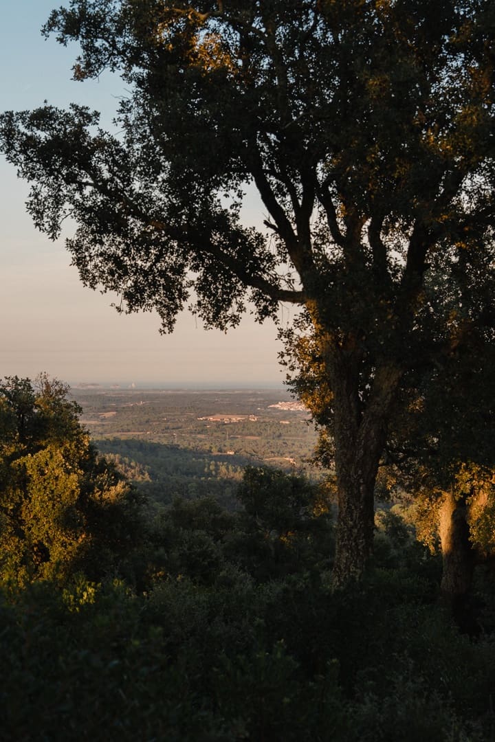 10 soveværelse Finca/Landehus til salg i Cruilles Monells i Sant Sadurni de I'Heura - € 765.000 (Ref: 9257653)