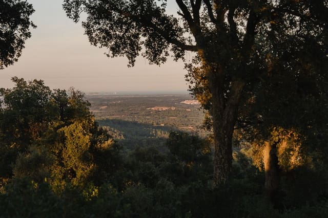 10 soveværelse Finca/Landehus til salg i Cruïlles Monells i Sant Sadurní de I'Heura - € 765.000 (Ref: 9257653)