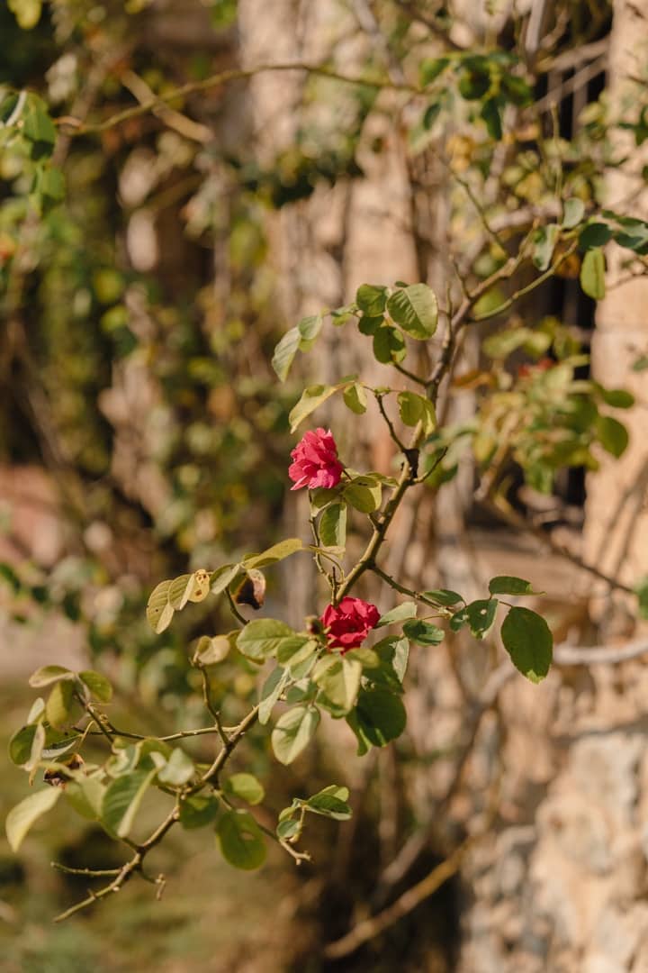 3 quarto Quinta/Casa Rural para venda em Sant Gregori - 875 000 € (Ref: 9265504)