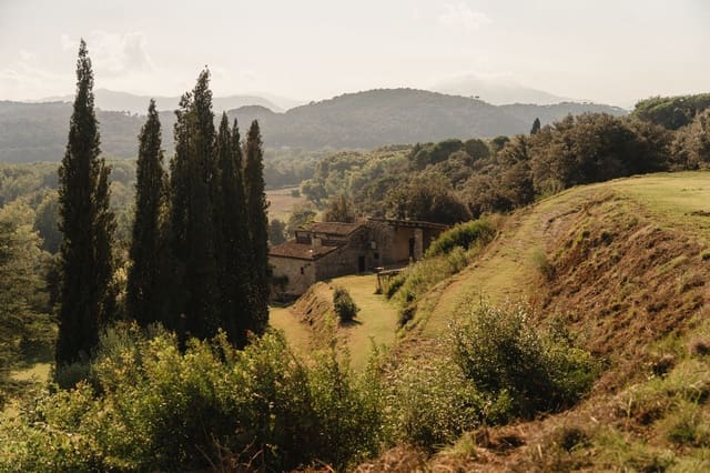 3 bedroom Finca/Country House for sale in Sant Gregori - € 875,000 (Ref: 9265504)