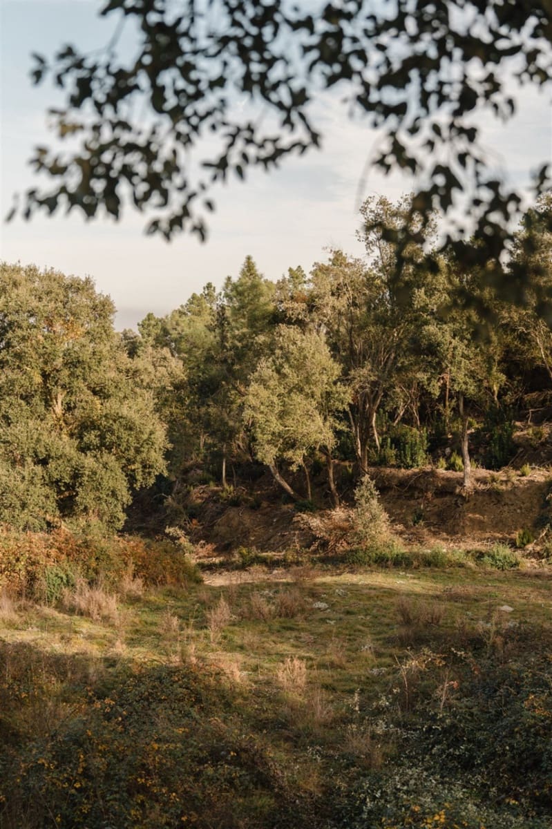 Ruin til salgs i Cruilles Monells i Sant Sadurni de I'Heura - € 220 000 (Ref: 9872572)
