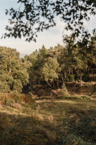 Ruin til salgs i Cruïlles Monells i Sant Sadurní de I'Heura - € 220 000 (Ref: 9872572)