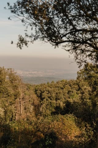 Ruin til salgs i Cruïlles Monells i Sant Sadurní de I'Heura - € 220 000 (Ref: 9872572)