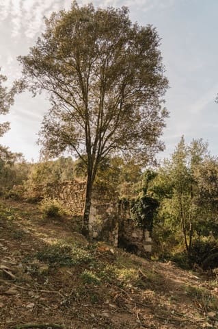 Ruin til salgs i Cruïlles Monells i Sant Sadurní de I'Heura - € 220 000 (Ref: 9872572)