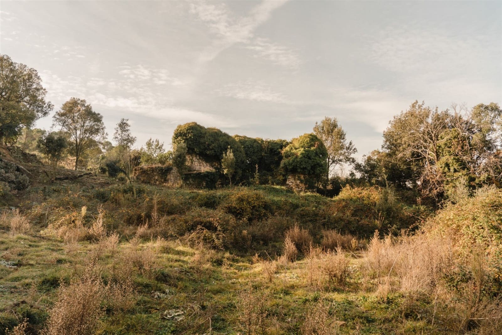 Ruin til salgs i Cruilles Monells i Sant Sadurni de I'Heura - € 220 000 (Ref: 9872572)
