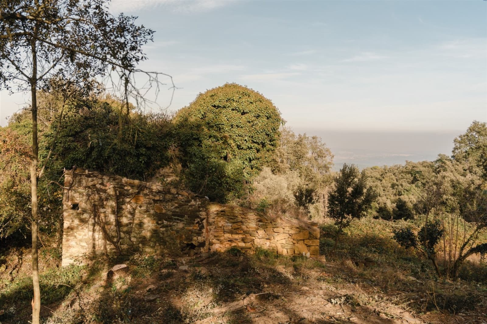Ruin til salgs i Cruilles Monells i Sant Sadurni de I'Heura - € 220 000 (Ref: 9872572)