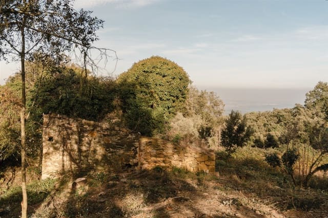 Ruin til salgs i Cruïlles Monells i Sant Sadurní de I'Heura - € 220 000 (Ref: 9872572)