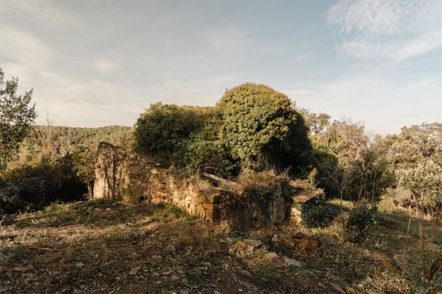 Ruin til salgs i Cruïlles Monells i Sant Sadurní de I'Heura - € 220 000 (Ref: 9872572)