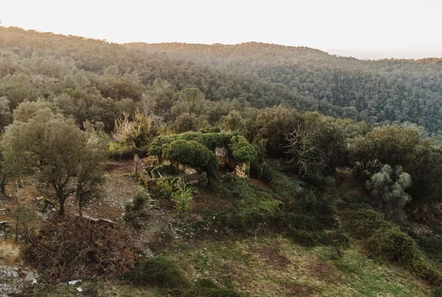 Ruin til salgs i Cruïlles Monells i Sant Sadurní de I'Heura - € 220 000 (Ref: 9872572)
