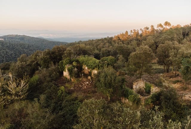 Ruin til salgs i Cruïlles Monells i Sant Sadurní de I'Heura - € 220 000 (Ref: 9872572)
