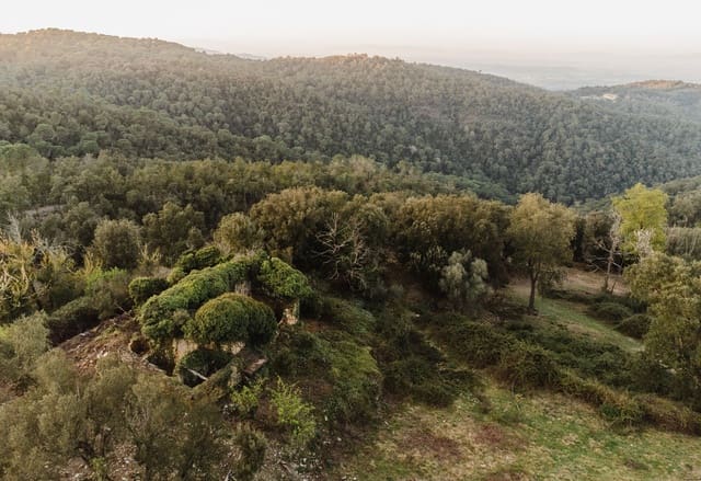 Ruin til salgs i Cruïlles Monells i Sant Sadurní de I'Heura - € 220 000 (Ref: 9872572)