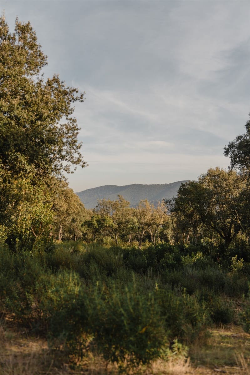 Ruina en Cruïlles Monells i Sant Sadurní de I'Heura en venta - 320.000 € (Ref: 9872774)