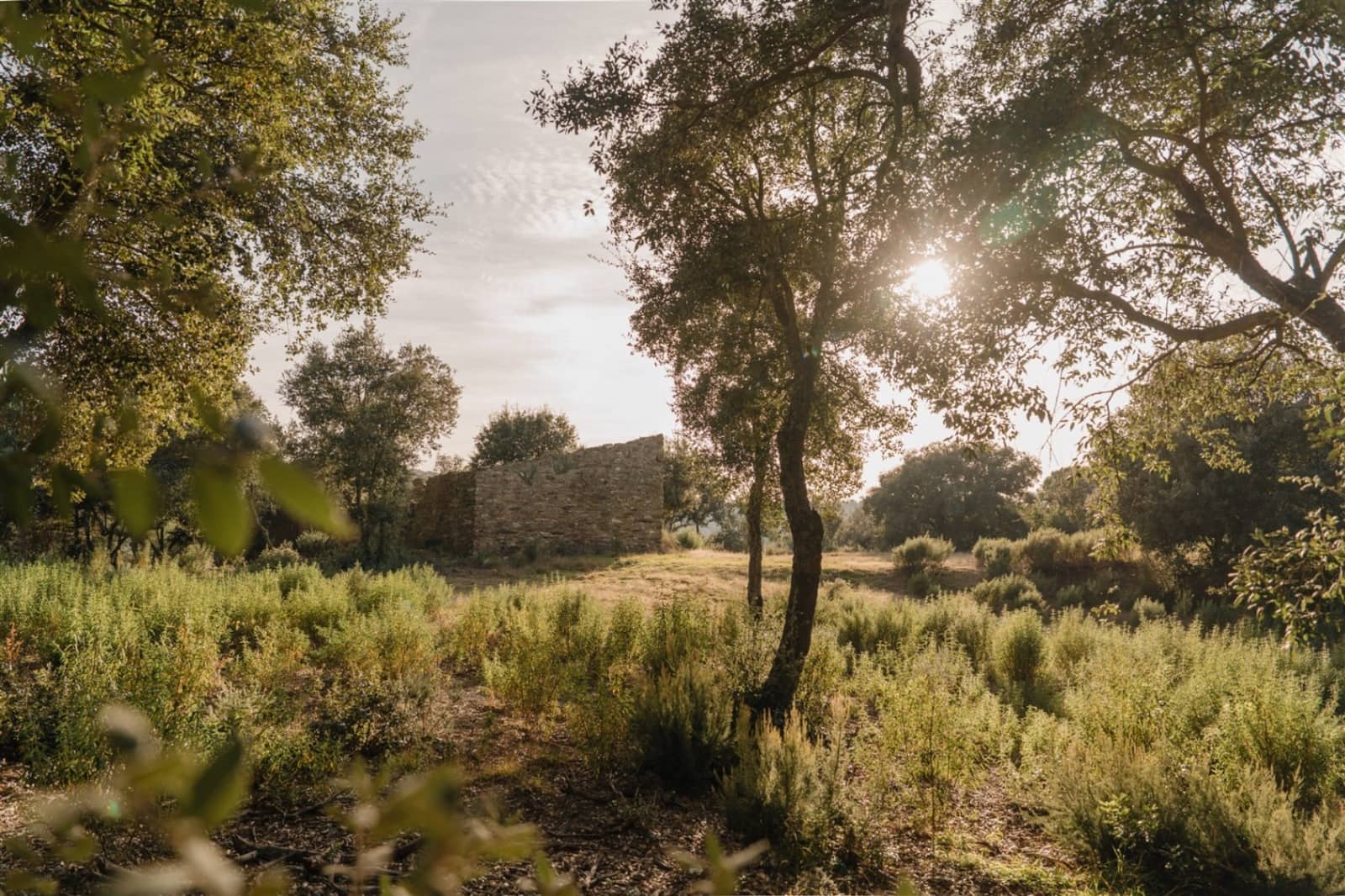 Ruina en Cruïlles Monells i Sant Sadurní de I'Heura en venta - 320.000 € (Ref: 9872774)