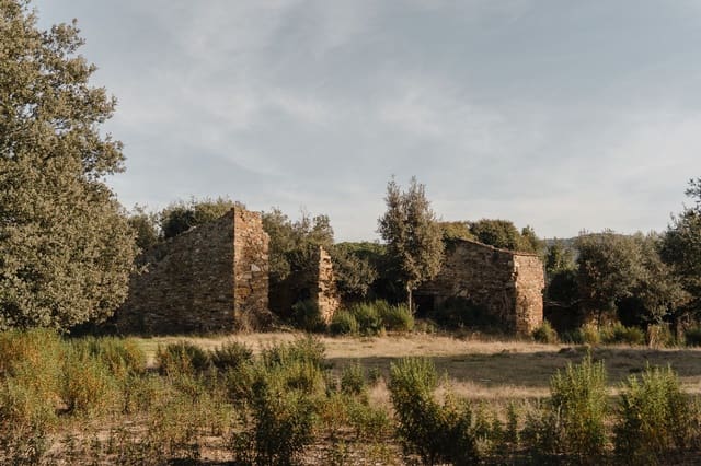 Ruina en Cruïlles Monells i Sant Sadurní de I'Heura en venta - 320.000 € (Ref: 9872774)