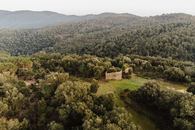 Ruina en Cruïlles Monells i Sant Sadurní de I'Heura en venta - 320.000 € (Ref: 9872774)