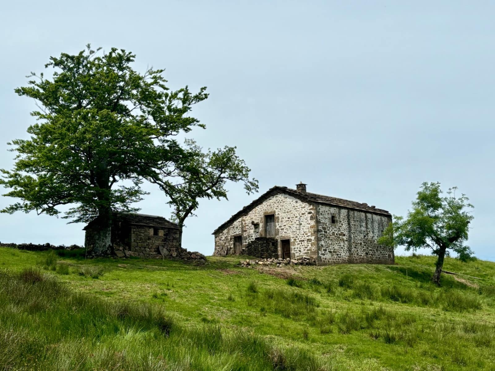 Finca/Casa Rural de 3 habitaciones en Selaya en venta - 115.000 € (Ref: 9929996)
