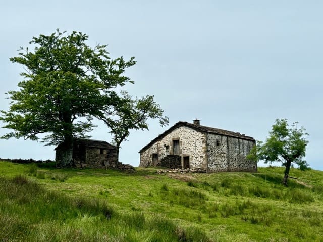 Finca/Casa Rural de 3 habitaciones en Selaya en venta - 115.000 € (Ref: 9929996)