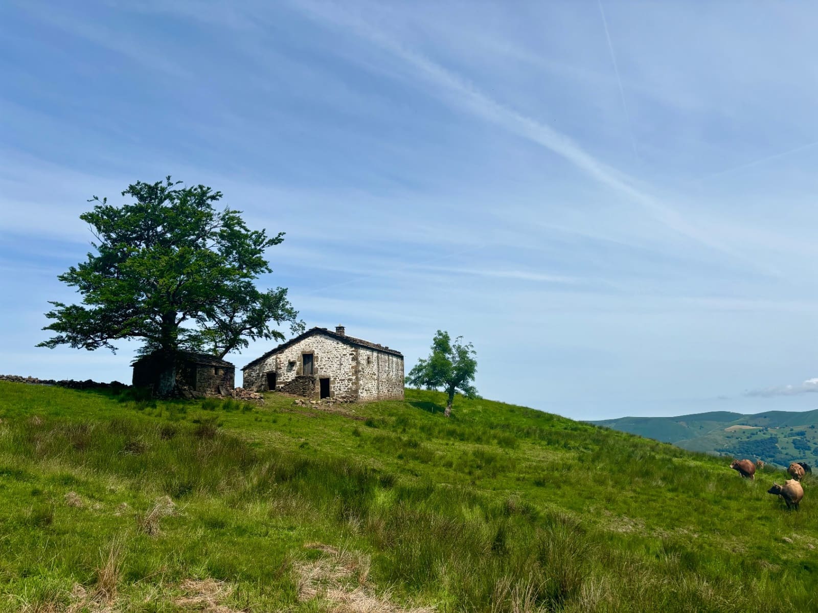 Finca/Casa Rural de 3 habitaciones en Selaya en venta - 115.000 € (Ref: 9929996)