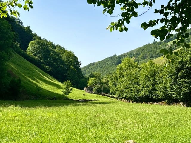Ruin til salg i Vega de Pas - € 175.000 (Ref: 9944875)