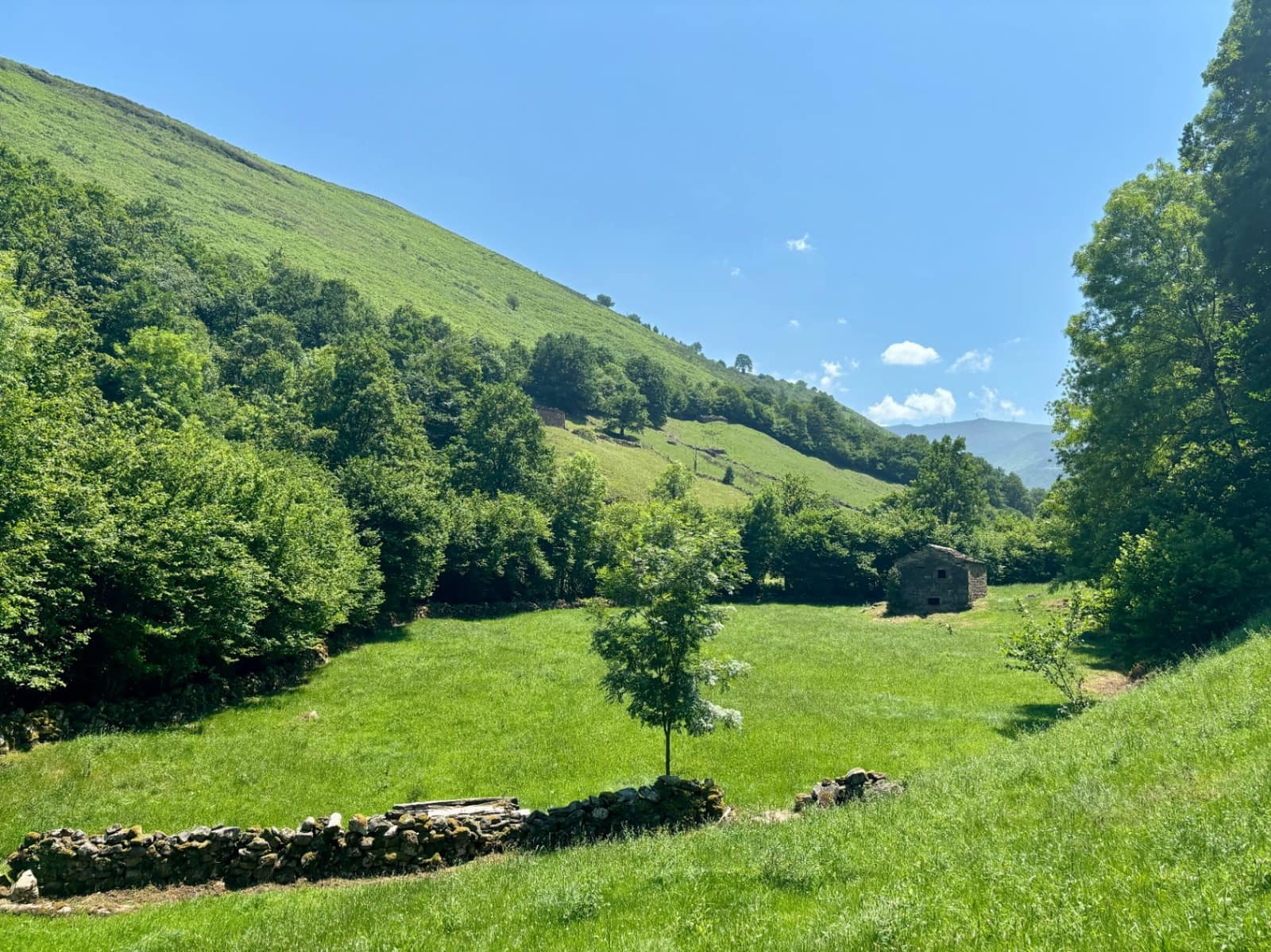 Ruin til salg i Vega de Pas - € 175.000 (Ref: 9944875)