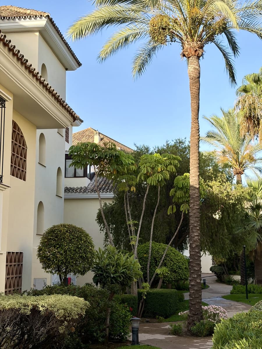 3 quarto Apartamento para arrendar em Marbella com piscina garagem - 3 500 € (Ref: 10012504)