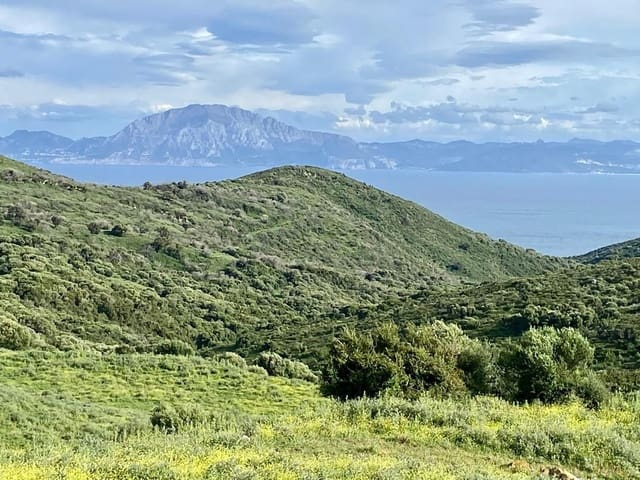 Finca/Casa Rural de 3 habitaciones en Tarifa en venta - 390.000 € (Ref: 10076682)
