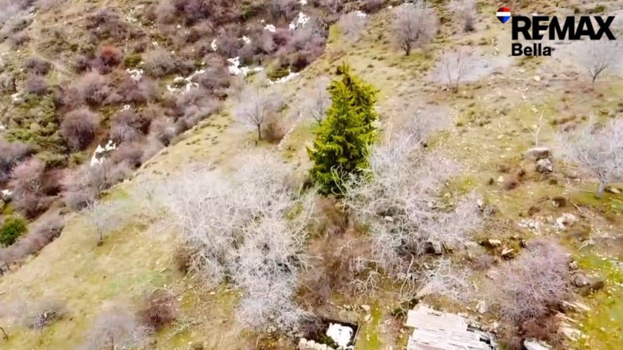 Bauplatz zu verkaufen in Guejar Sierra - 890.000 € (Ref: 10076696)