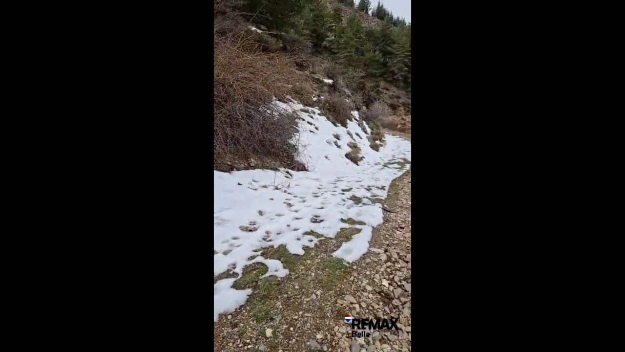 Bauplatz zu verkaufen in Guejar Sierra - 890.000 € (Ref: 10076696)
