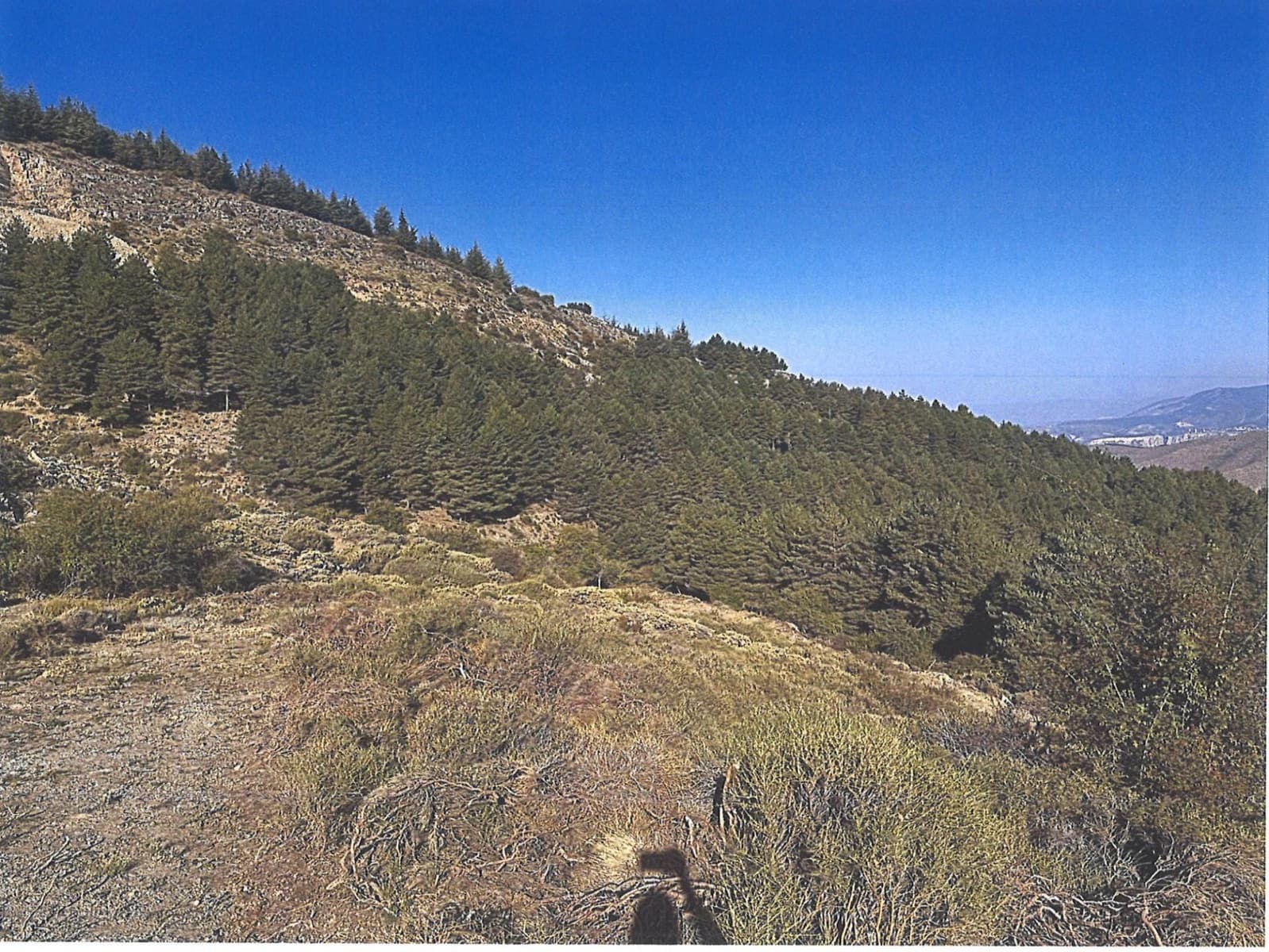 Bauplatz zu verkaufen in Guejar Sierra - 890.000 € (Ref: 10076696)