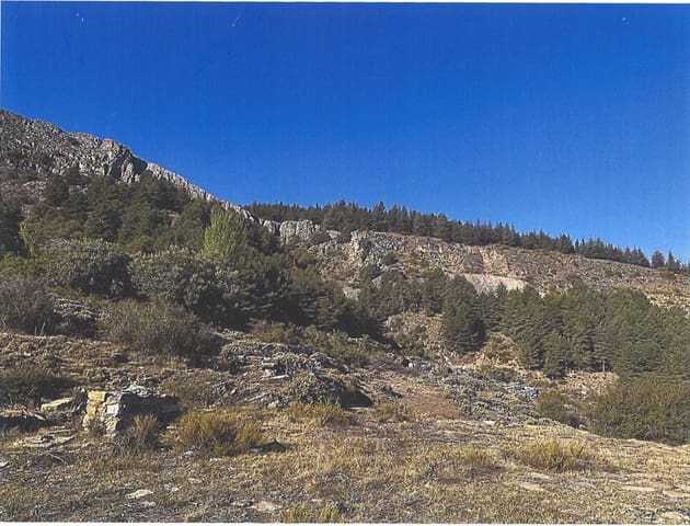 Bauplatz zu verkaufen in Güéjar Sierra - 890.000 € (Ref: 10076696)