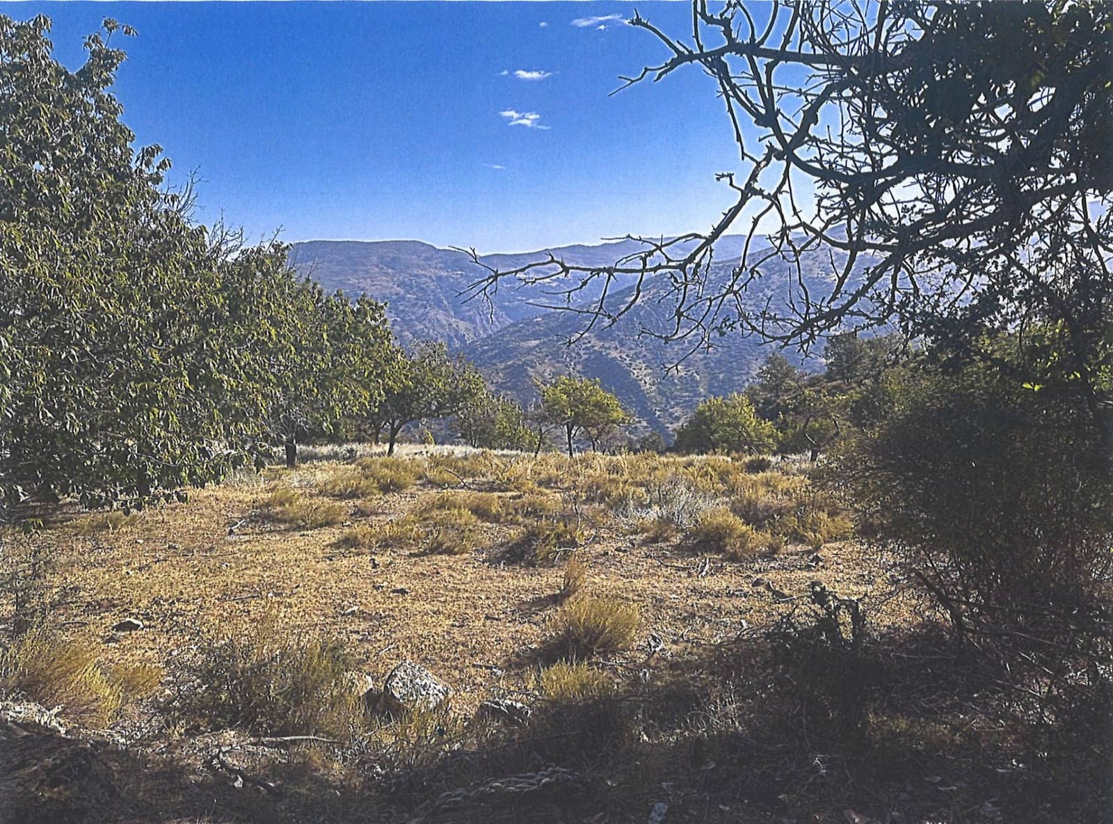 Bauplatz zu verkaufen in Guejar Sierra - 890.000 € (Ref: 10076696)
