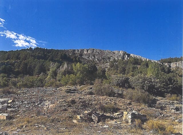 Bauplatz zu verkaufen in Güéjar Sierra - 890.000 € (Ref: 10076696)