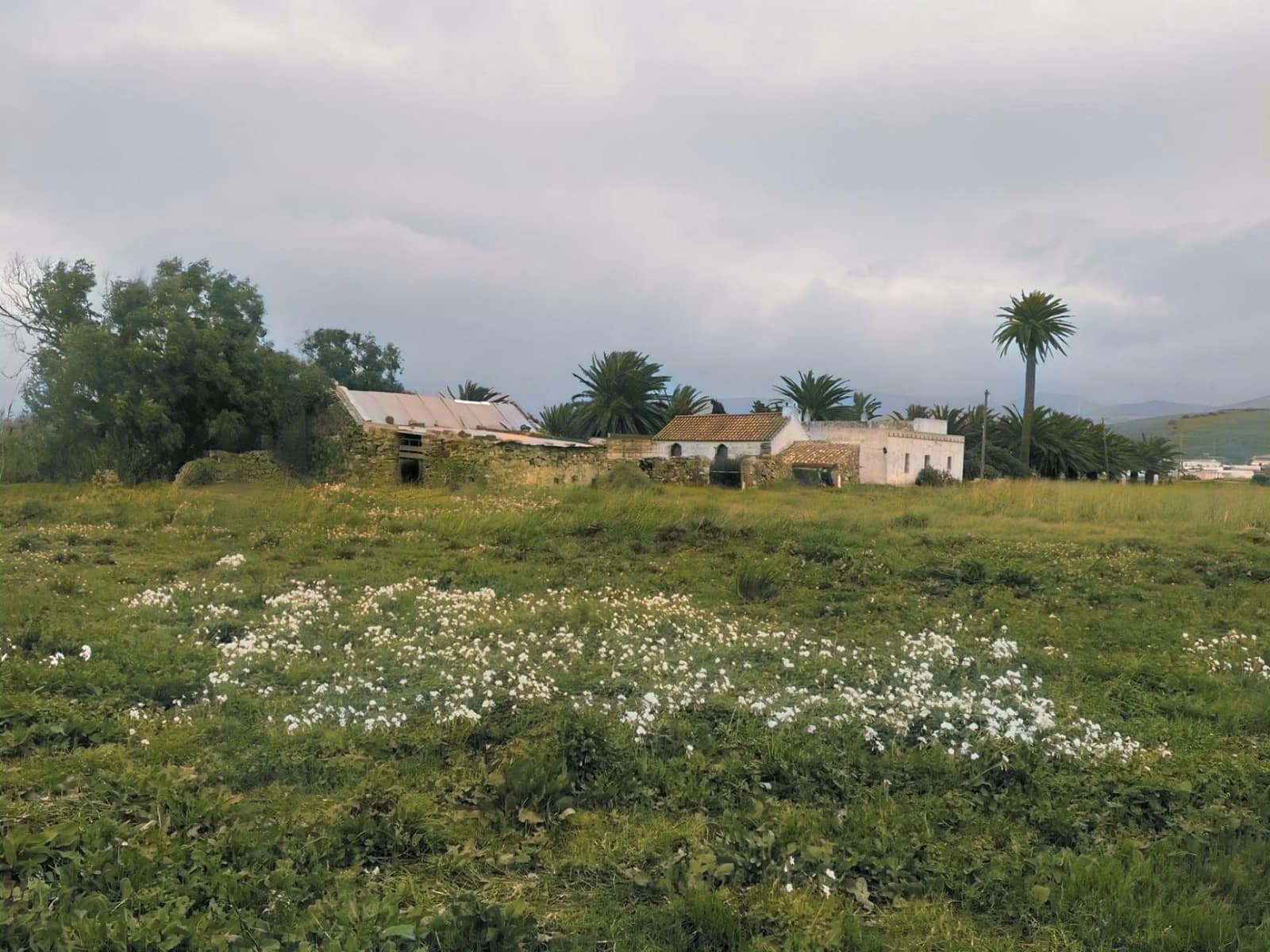 5 sovrum Finca/Hus på landet till salu i Tarifa med pool garage - 2 990 000 € (Ref: 10076699)
