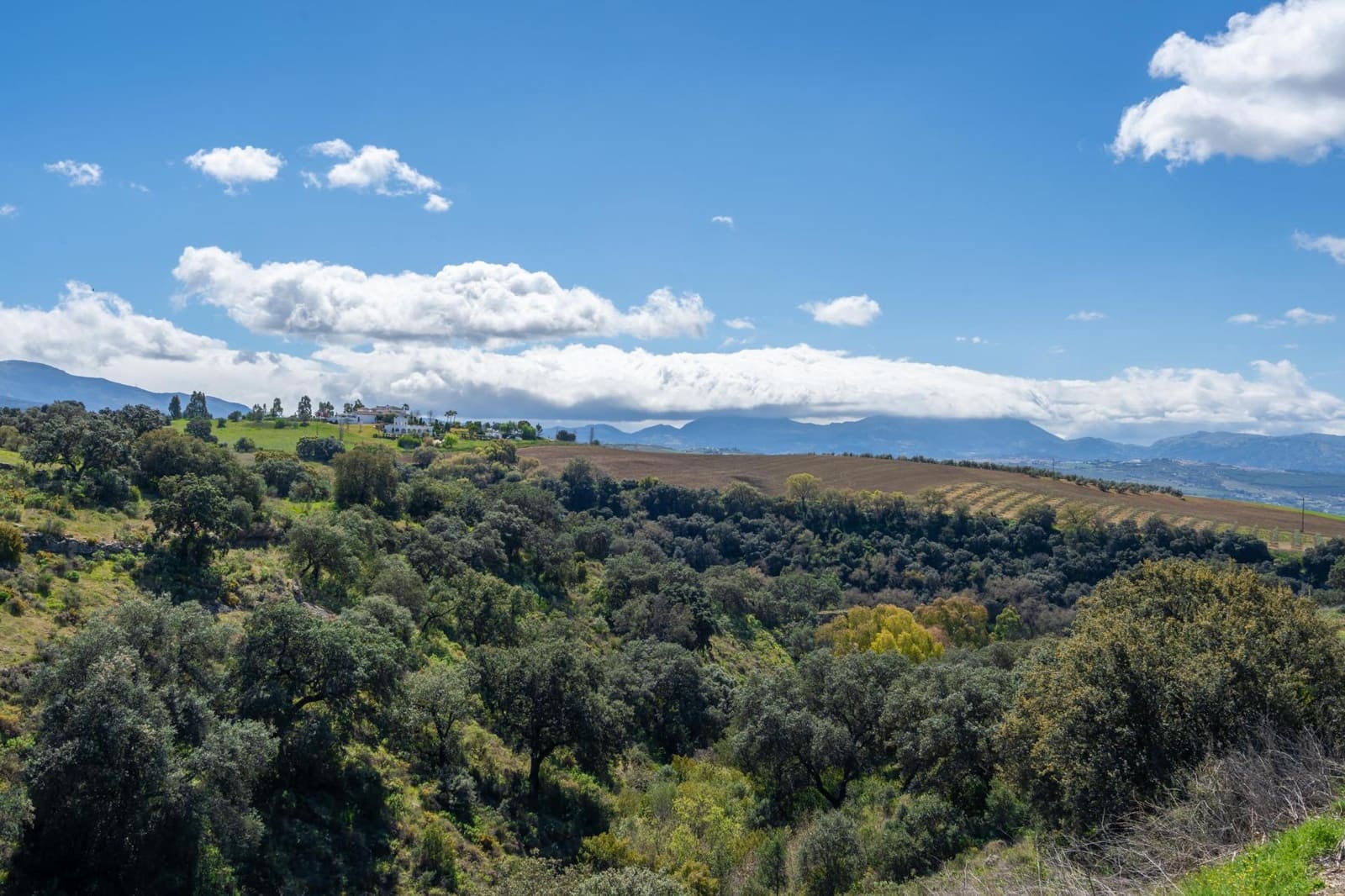 8 bedroom Hotel for sale in Ronda with pool - € 1,800,000 (Ref: 10076704)