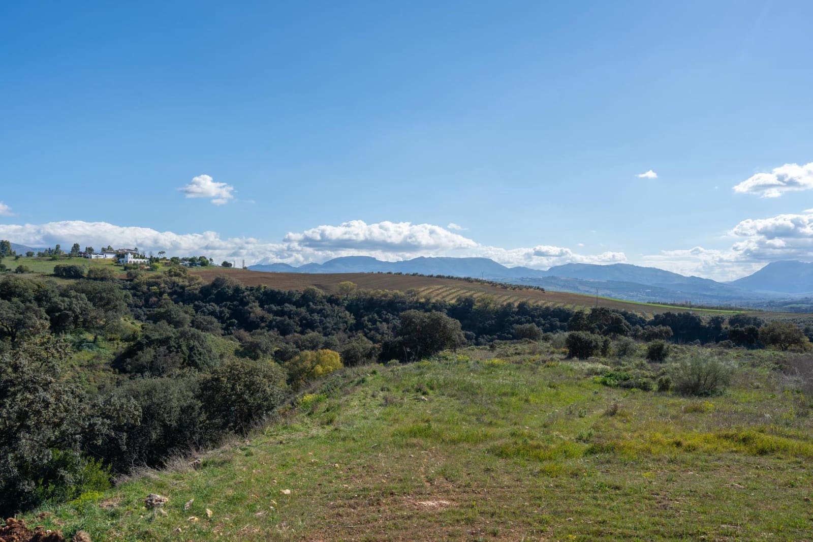 8 bedroom Hotel for sale in Ronda with pool - € 1,800,000 (Ref: 10076704)