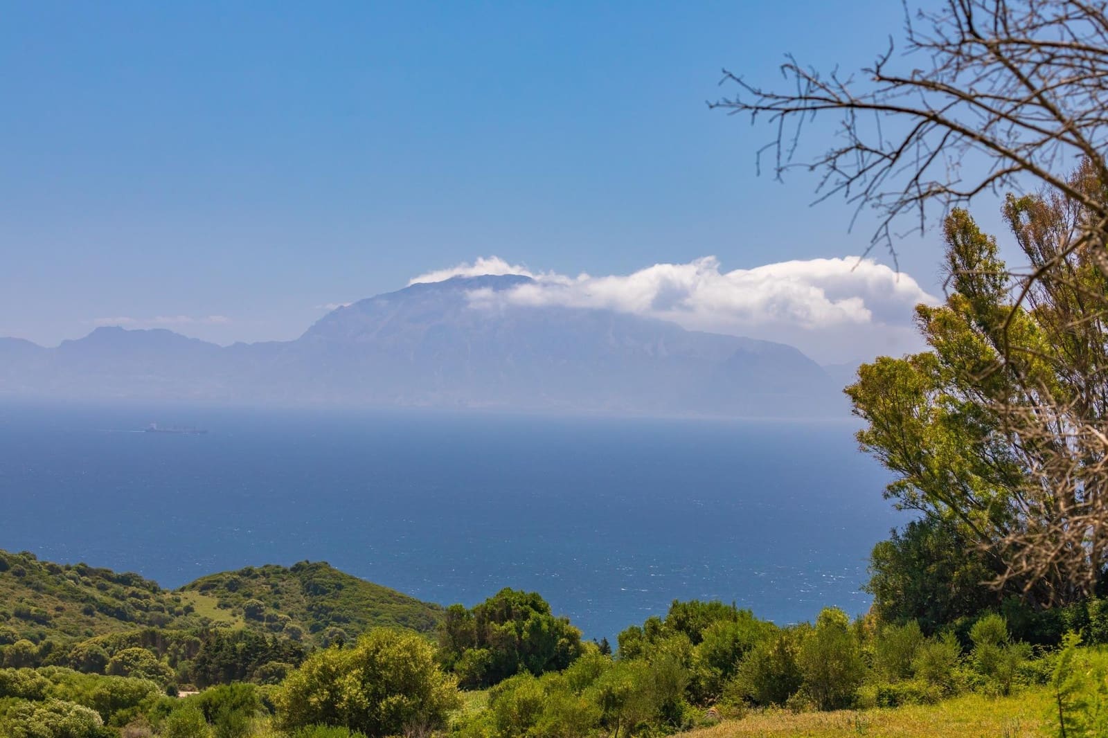 7 quarto Quinta/Casa Rural para venda em Tarifa com piscina garagem - 4 550 000 € (Ref: 9027358)