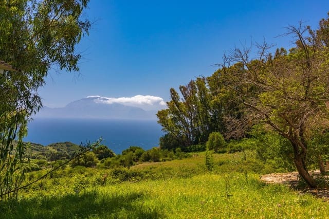 7 bedroom Finca/Country House for sale in Tarifa with pool garage - € 4,550,000 (Ref: 9027358)