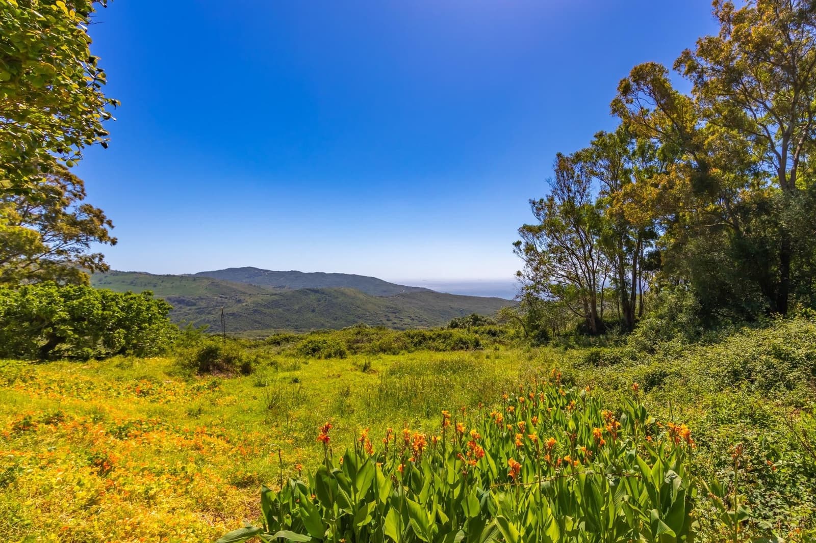 7 quarto Quinta/Casa Rural para venda em Tarifa com piscina garagem - 4 550 000 € (Ref: 9027358)