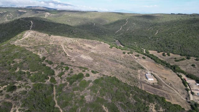 Bouwgrond te koop in Manilva - € 950.000 (Ref: 9027360)