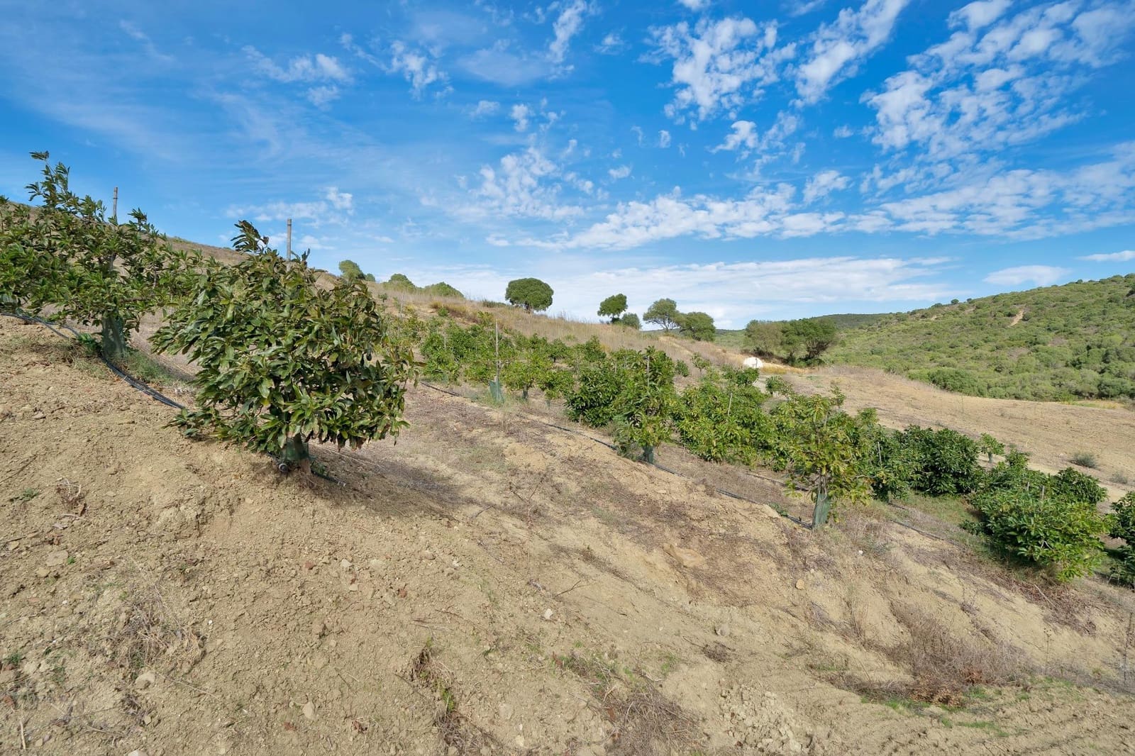 Byggetomt til salgs i Manilva - € 950 000 (Ref: 9027360)