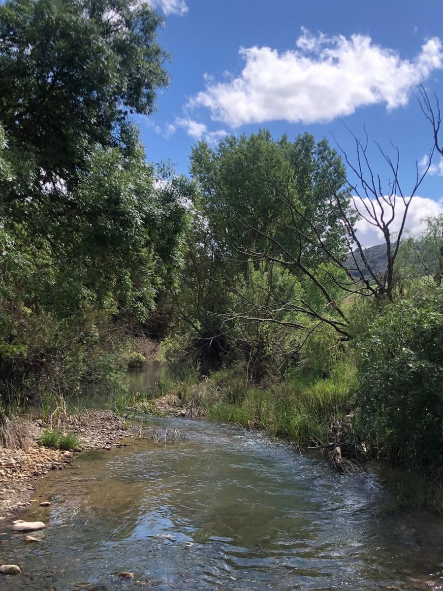 30 soveværelse Finca/Landehus til salg i Ardales - € 3.800.000 (Ref: 9027365)