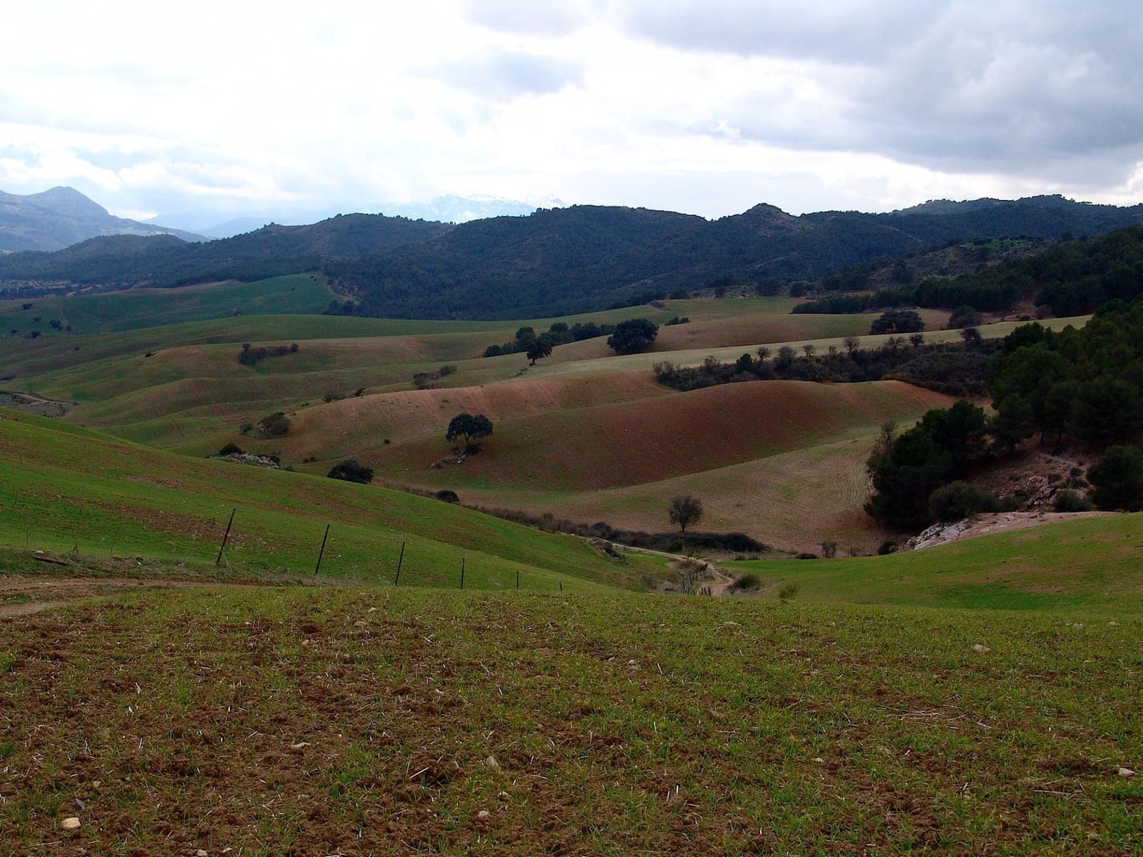 30 soveværelse Finca/Landehus til salg i Ardales - € 3.800.000 (Ref: 9027365)