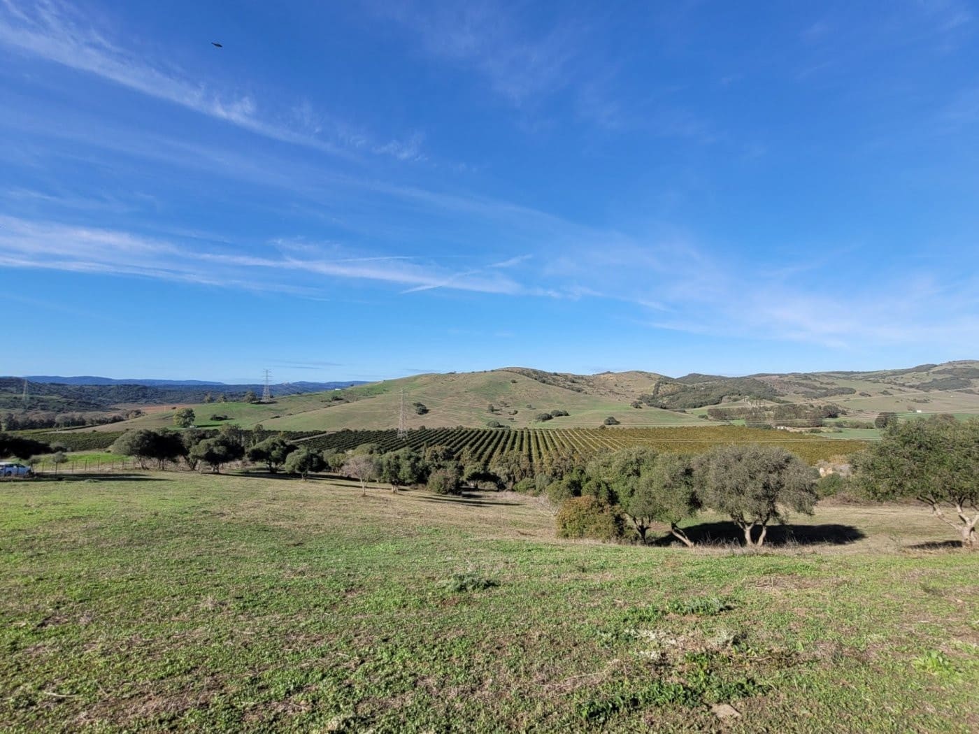 6 soveværelse Villa til salg i San Martin del Tesorillo med swimmingpool garage - € 1.900.000 (Ref: 9027368)