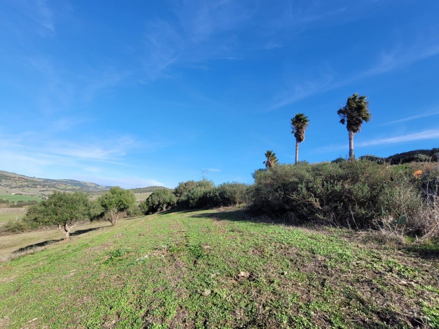 6 soveværelse Villa til salg i San Martin del Tesorillo med swimmingpool garage - € 1.900.000 (Ref: 9027368)