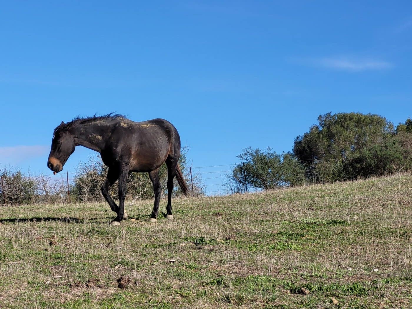 6 soveværelse Villa til salg i San Martin del Tesorillo med swimmingpool garage - € 1.900.000 (Ref: 9027368)