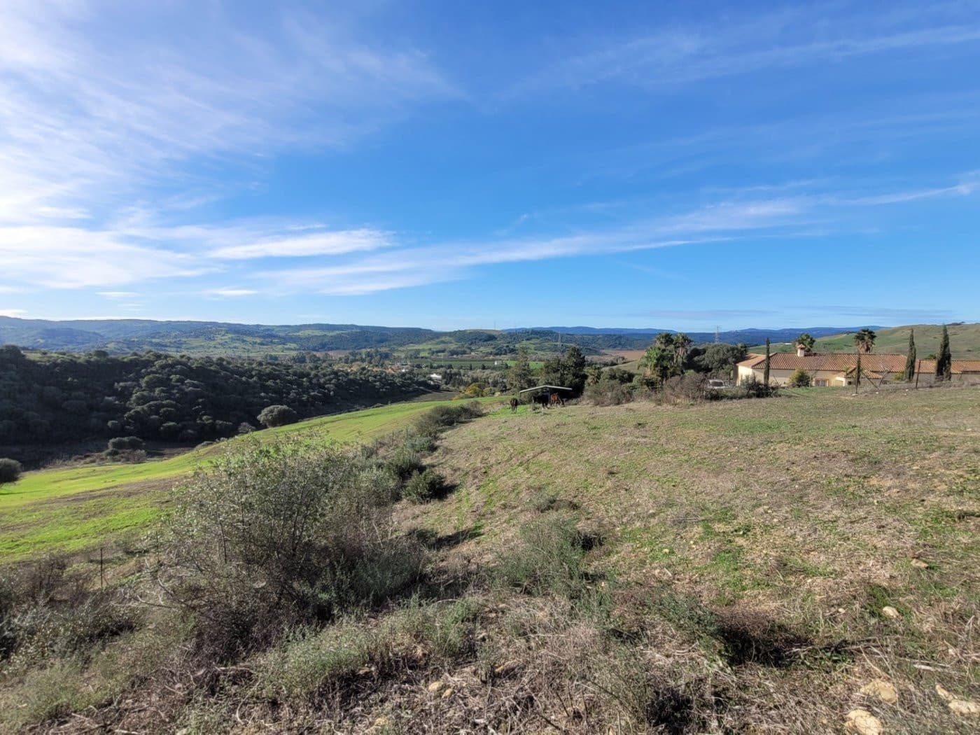 6 quarto Moradia para venda em San Martin del Tesorillo com piscina garagem - 1 900 000 € (Ref: 9027368)