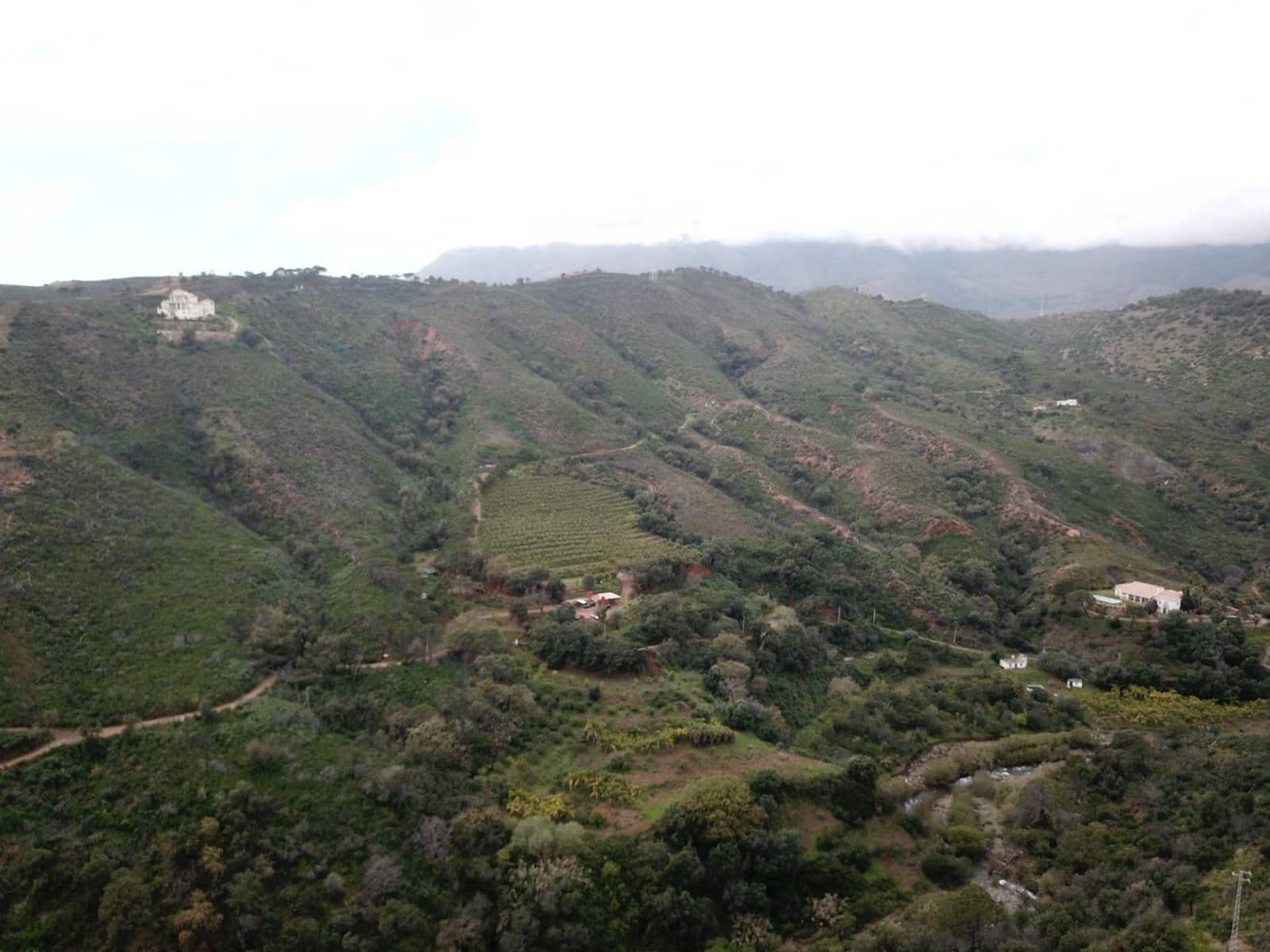 Terreno/Finca Rústica en Estepona en venta - 1.500.000 € (Ref: 9041258)