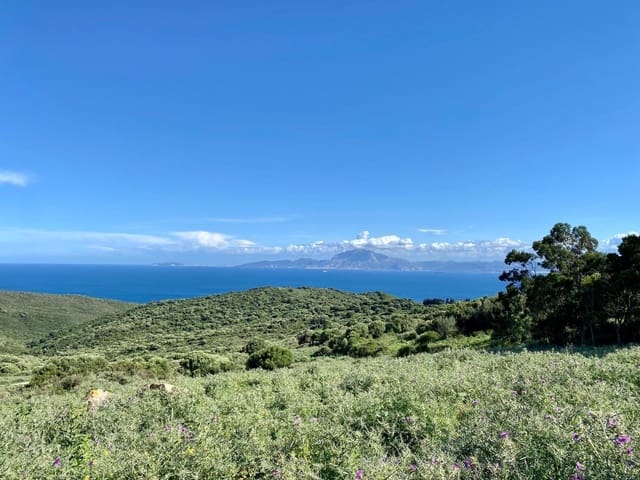 3 soveværelse Finca/Landehus til salg i Tarifa - € 390.000 (Ref: 9046238)