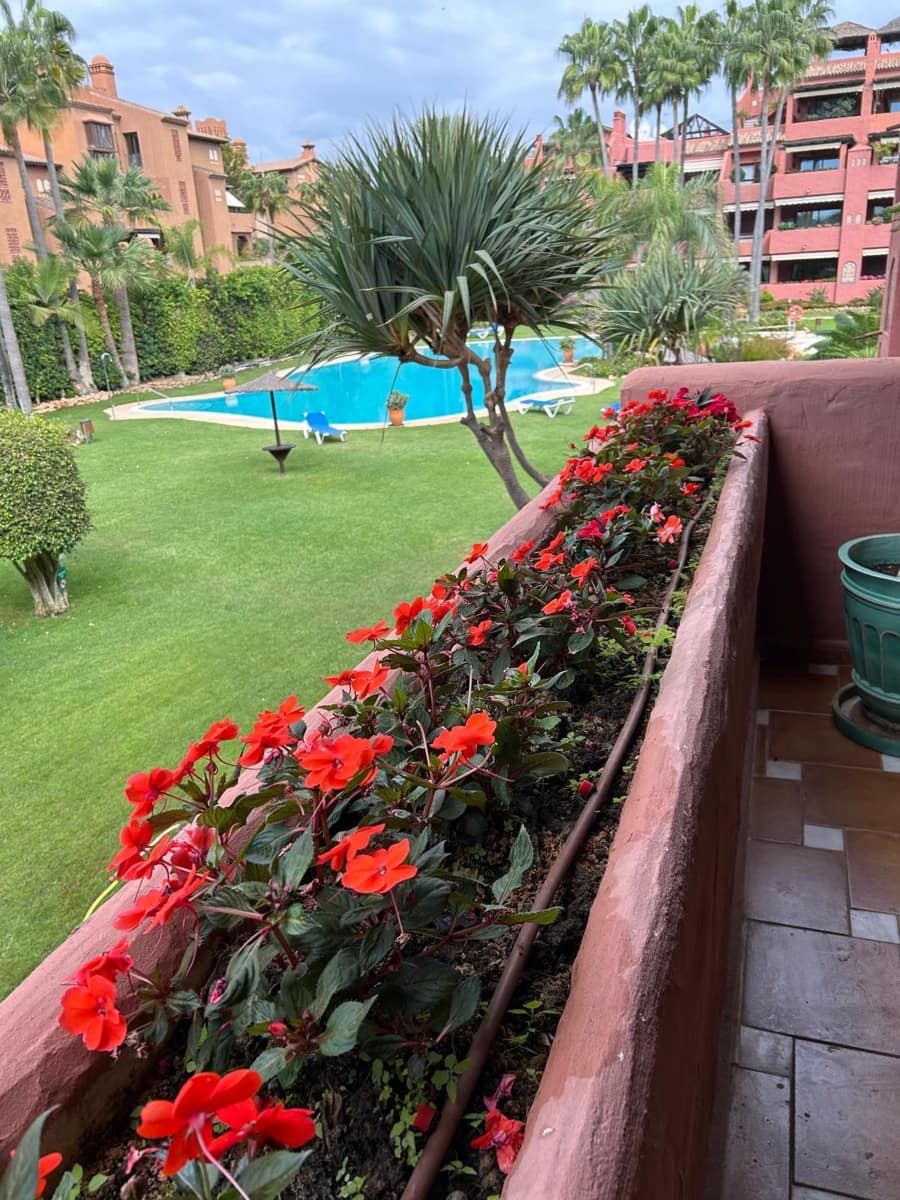 2 Zimmer Apartment zu verkaufen in Guadalmina mit Pool - 499.000 € (Ref: 9466230)