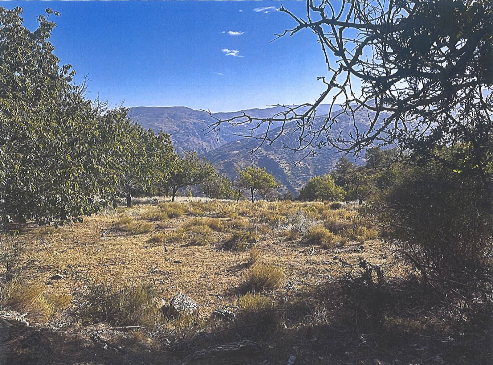 Terrain à Bâtir à vendre à Guejar Sierra - 890 000 € (Ref: 9665335)
